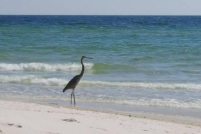 Wind Drift SW 207 - Large Beachfront Unit w/ Spacious Private Balcony!